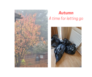 Black sacks full of decluttered clothers. Autumn coloured leaves falling from a tree.